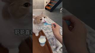 This Unexpected Twist Left Me Speechless... 🤯 (Watch Till End!)