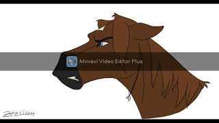horse tfs #1