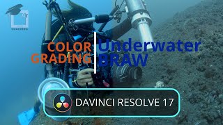 Black Magic Cinema 6k / daVinci Resolve 17 - Grading Underwater BRaw. 3 - Keying Nodes