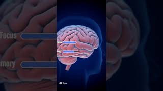 What Happens When You Don’t Sleep Enough 😴 #SleepDeprivation  #InformativeVideos #HealthAwareness