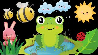 Baby Sensory Vibrant Visual Stimulation Video | High Contrast Animation and Soothing Music!