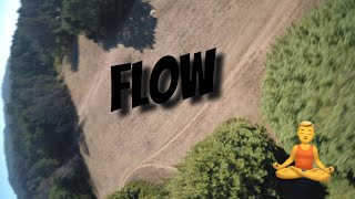 FPV Flow