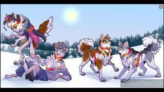 canine tfs #3