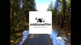 Between trees FPV drone.