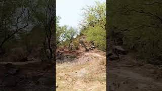 roadside travelling #youtube #villagelife #youtubeshorts #youtubevideo #automobile #youtubeshorts