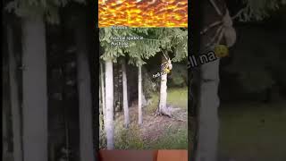 3 декабря 2023 г.