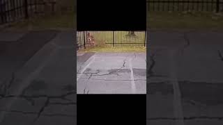 What were they running from?😳#shortsvideo #shorts