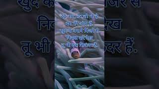 Motivational Quotes in Hindi - 3 | Best Motivational Quotes | Motivational Quotes video | #Shorts