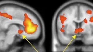 The Science of Bragging and Boasting