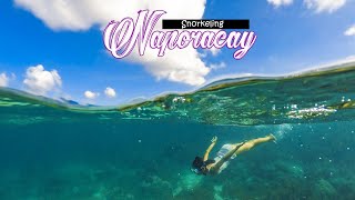 Snorkeling in Naporacay Beach - Loon, Bohol