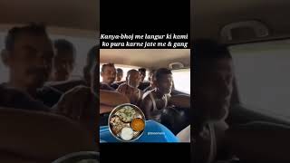 हमारे यहां हर प्रकार के लंगूर दिए जाते हैं।#navratrispecial#memes#stenomeme#ssccgl#kanyabhojan#short