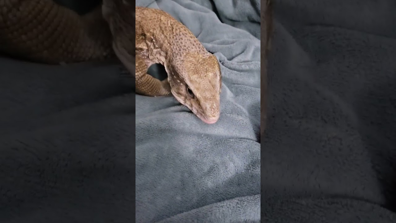 サムネ