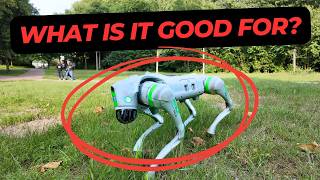 I asked ChatGPT to find me 10 uses for this robot dog