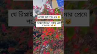 #news #বন্যা #বন্যা #duet #flood