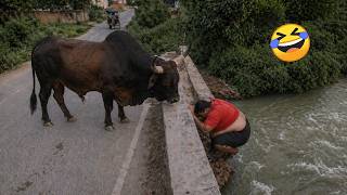 Try Not To Laugh 🤣 Top 100 Funniest Videos Ever | Memes, Epic Fails & Pranks Compilation 2026 Part 6