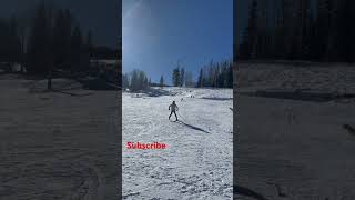 White Mountain (Heavy snow) 🎿