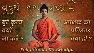 Buddha Teachings | 12 | How to respond when someone insults you? |Buddha Serial