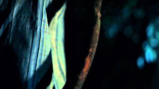 The Night Of The Moon Has Many Hours (excerpt)