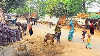 🇮🇳You Won't Believe This Is India | Bike Tour in India, "Daily Life of Indian People