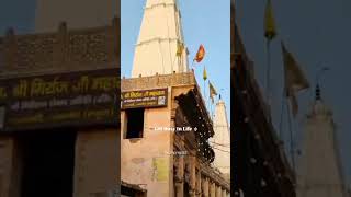 Get busy 😌 💯#trending #ssccgl #love #motivation #viralshort #sad #music #1m #subscribenow #creator