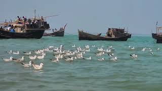 #Bangladesh beautiful Cox's Bazar view....  #travel #nature #bangladesh #asanando❤️