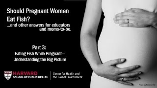 Eating fish while pregnant—Understanding the Big Picture (Part 3)