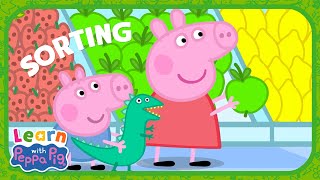 Learn How To Sort With Peppa Pig! 📝 Educational Videos for Kids 📚 Learn With Peppa Pig