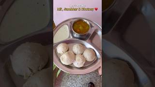 Favourite Lunch 🥗 #viral #explore #minivlog #youtube #dosa #idli #south #whatieatinaday