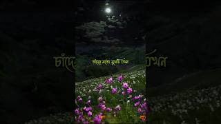 চান্দের মত মুখটি যখন।🥀❤️💔#বাংলা_গান #বাংলা লিরিক্স#তোমার_জন্য