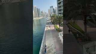 Dubai #dubai #dubailife #shorts #ikea #dubaicity #dubai #dubaimall