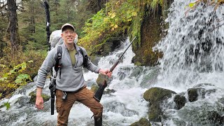 アラスカの熱帯雨林に取り残される - 3日間のソロキャンプ