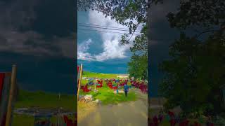 view 👌 #short #shortvideo #bandsplyrics