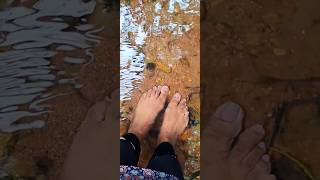 #watertherapy #fishspa #naturecare #nature #metime #fishlove #kerala  #freshwaterfish #hometown