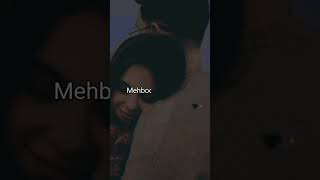 Muhabbat mein❤️• love status • female love shayari status #lovestatus #lovepoetry