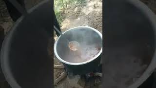 😜 Biriyani alaparigal makkalea..... 🍃💪#shorts #new #entertainment #trending #fun #alaparaigal #tamil
