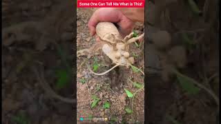 LOOKING LIKE SNAKE 💯