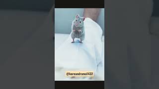 Big Mouse🐭#short #shortvideo #youtubevideo #kdrama #trending #new