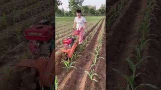 Water and land dual-purpose rotary tiller#Four-wheel drive gasoline and diesel weeder