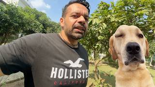 Baal Baal Bache | Nakli Pathake !!