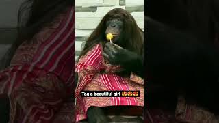 tag a papa ki pari  #short #shorts #funny #comedy #viral