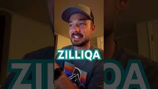 One of my favorite projects, they are still building #zilliqa #zilliqapriceprediction