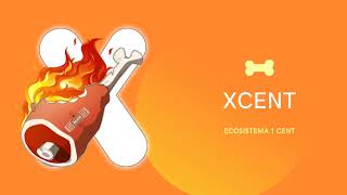 Ecosistema 1Cent- Tokens que harán que shiba Inu llegue a $0.01 y Bone $1000 con quemas semanales.