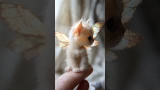 Adorable AI Cats: The Cutest Digital Animal! #cat #cutecats #animalshorte #techpets