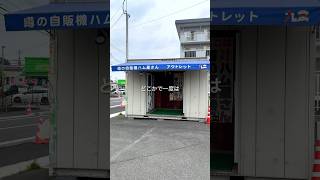 見たことある人多いと思う #福岡