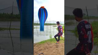 Anaconda snake in real life P206#shorts #short #snake #nagin #python #anaconda #snakes #bigsnake