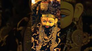 jai shri shyam baba || #viral #shorts #shortsfeed #shyambabastatus #short #khatushyam #khaniyamittal