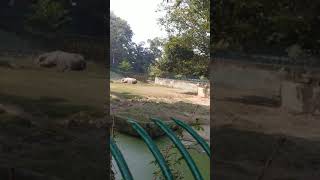 মিছে এই জীবনের রংধনুটা মুছে যাবে একদিন জেনে নাও