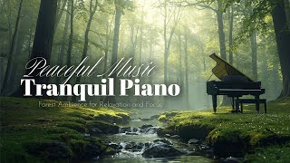 Tranquil Piano Moments | Peaceful Piano Music with Forest Ambience for Relaxation and Focu