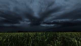 Wild Thunderstorm Rolling in Over a Cornfield | Calm Before the Storm | 3 HOURS