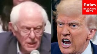 BREAKING NEWS: Bernie Sanders Holds Rally In Chicago After Trump Threatens To Send Troops There
